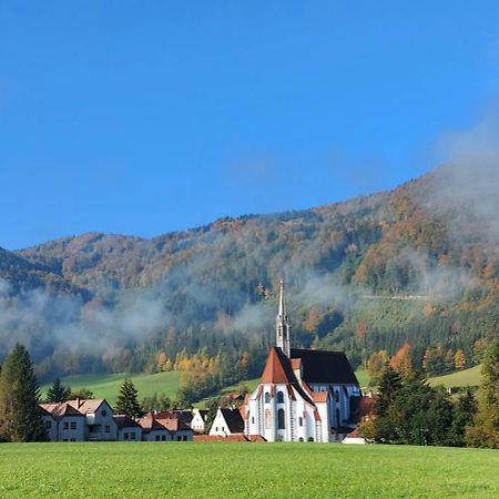 Ferienwohnung Bergspass Gaming Bagian luar foto