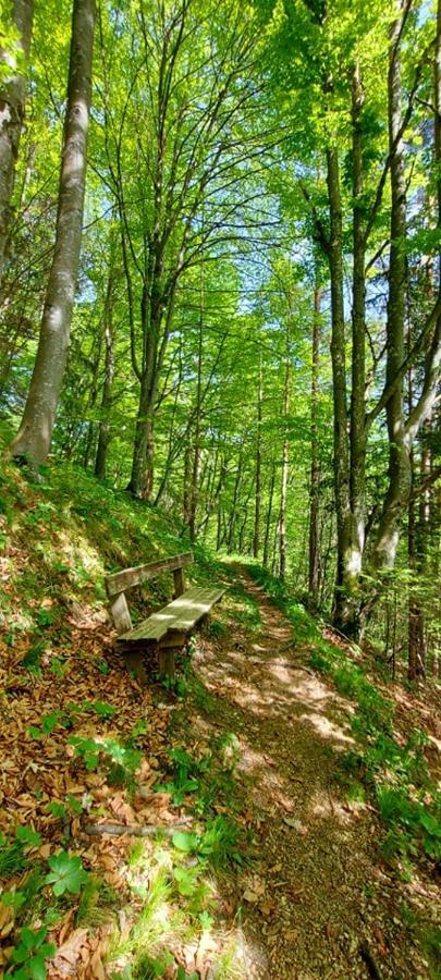 Ferienwohnung Bergspass Gaming Bagian luar foto