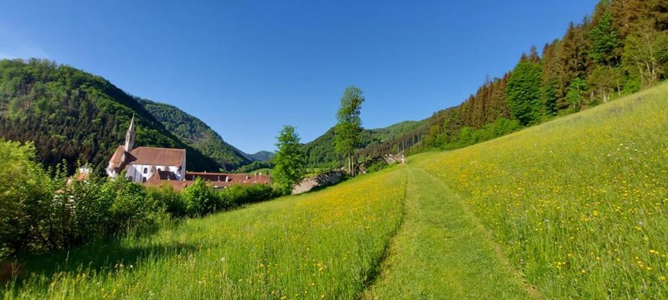 Ferienwohnung Bergspass Gaming Bagian luar foto